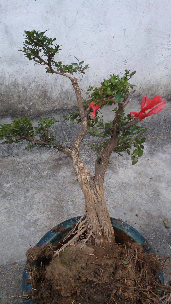 2.jpg