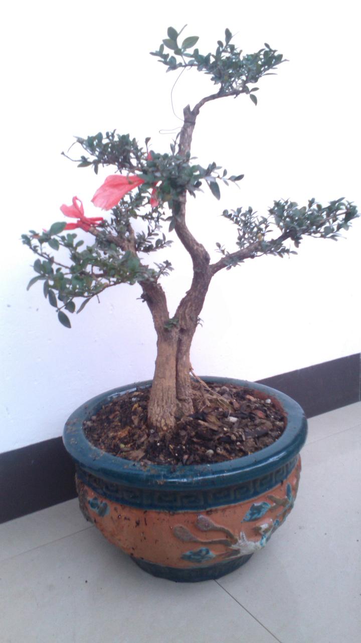 3.jpg