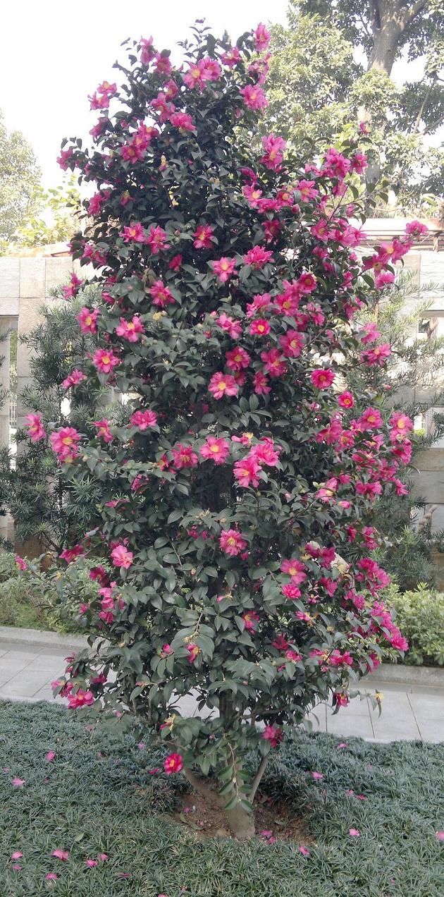 201312301732.jpg