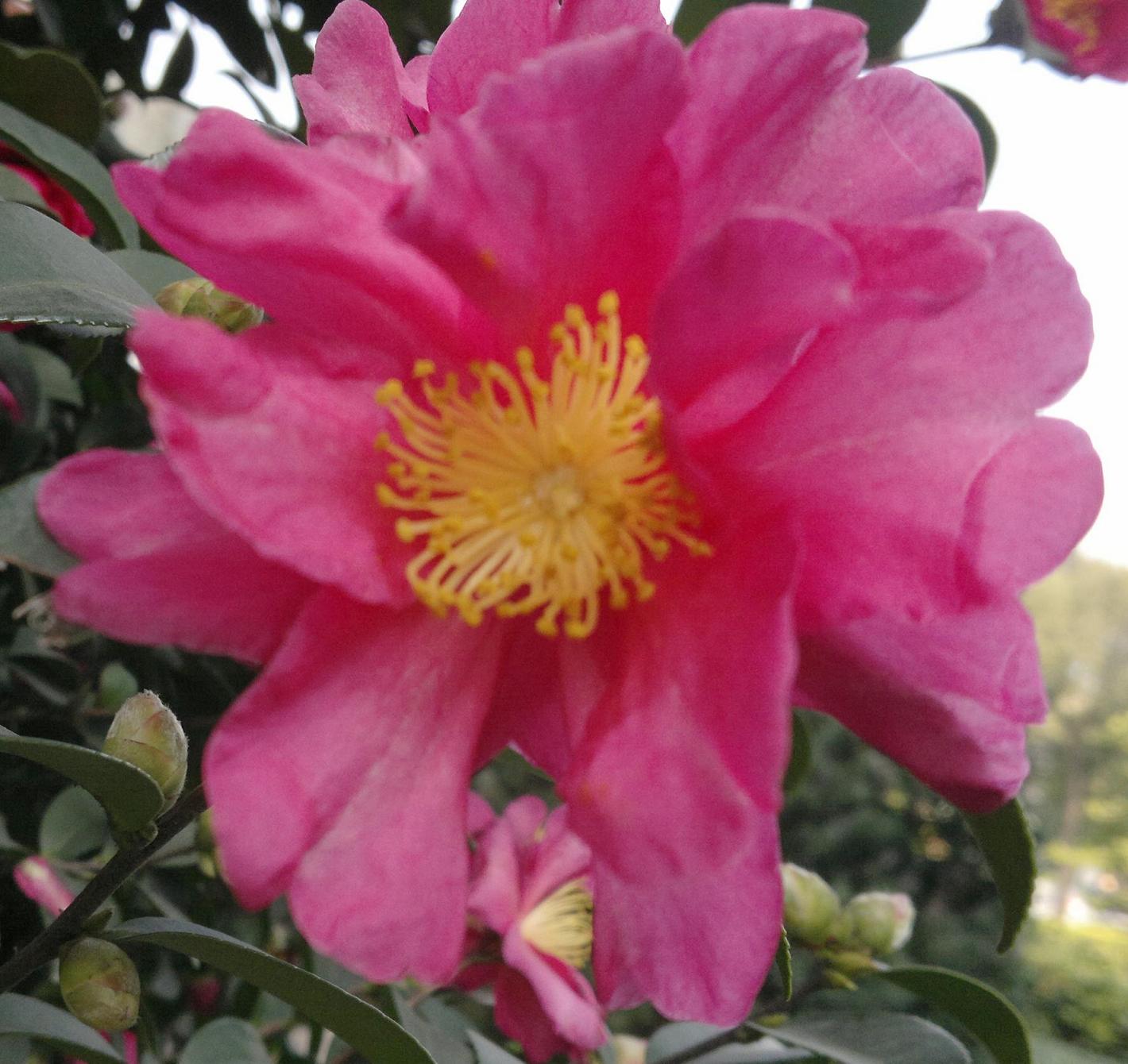 201312301733.jpg