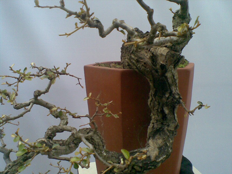 20140129(001)ͼ.jpg