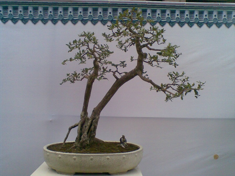 20140129(007)ͼ.jpg