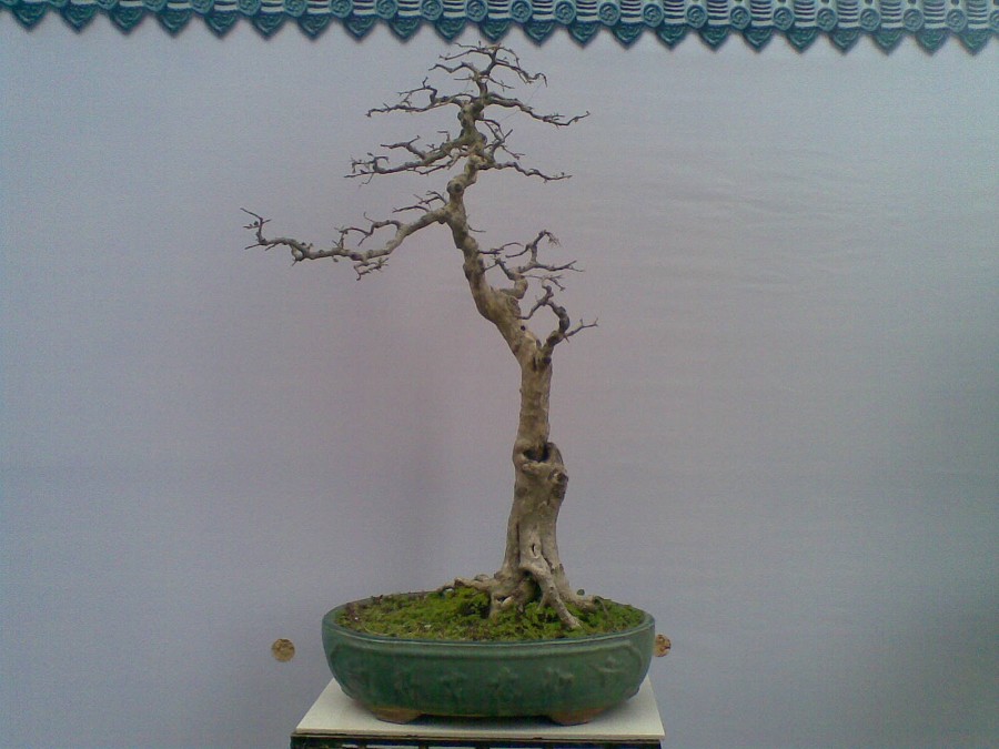 20140129(009)ͼ.jpg