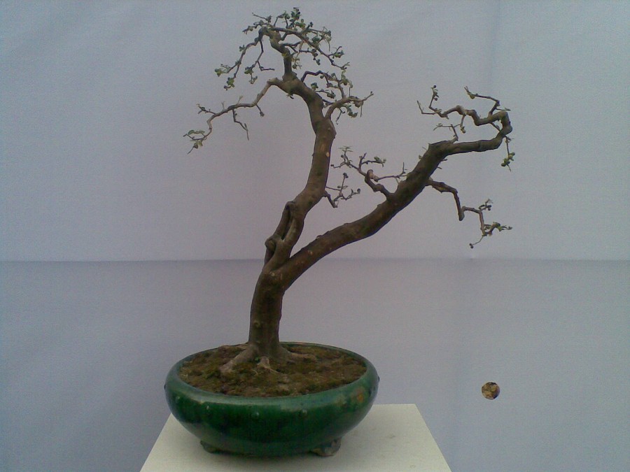 20140129(012)ͼ.jpg