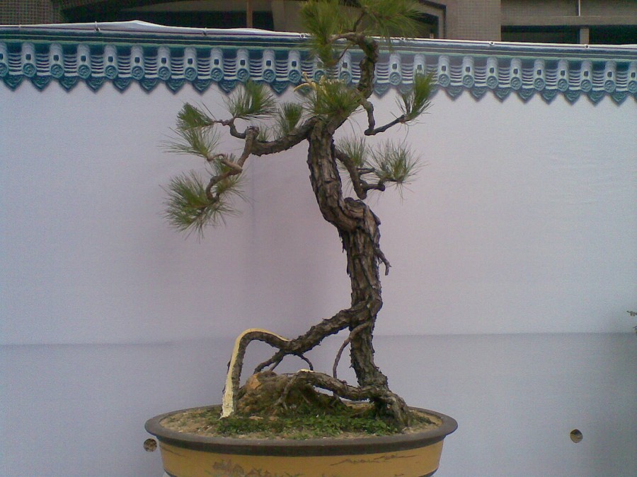 20140129(013)ͼ.jpg
