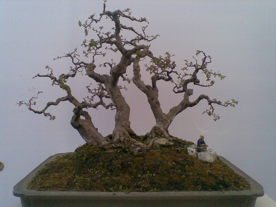 20140129(016)ͼ.jpg