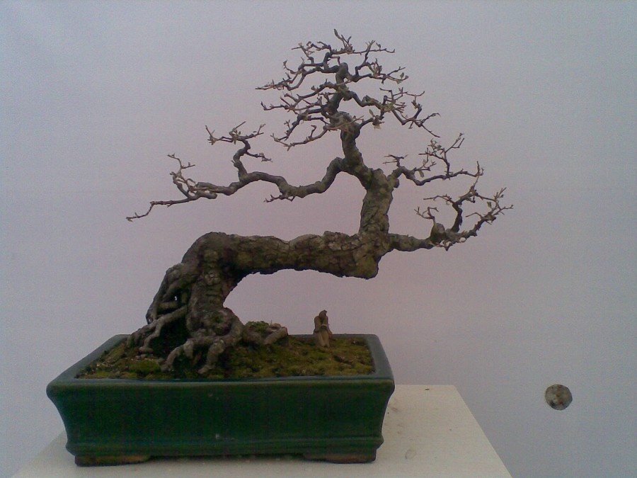 20140129(017)ͼ.jpg
