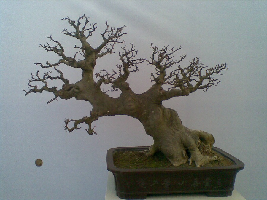 20140129(018)ͼ.jpg