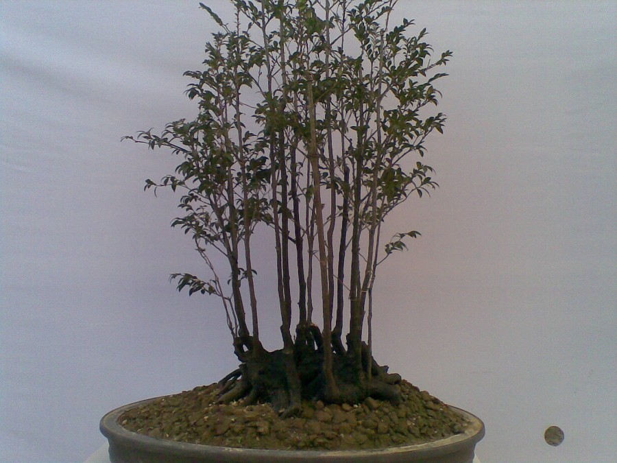 20140129(020)ͼ.jpg