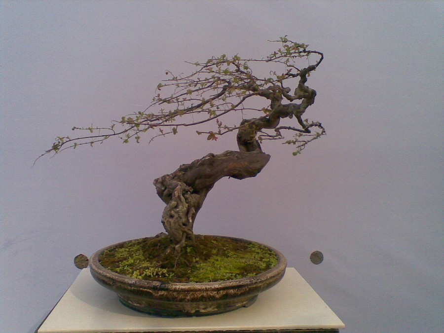 20140129(021)ͼ.jpg