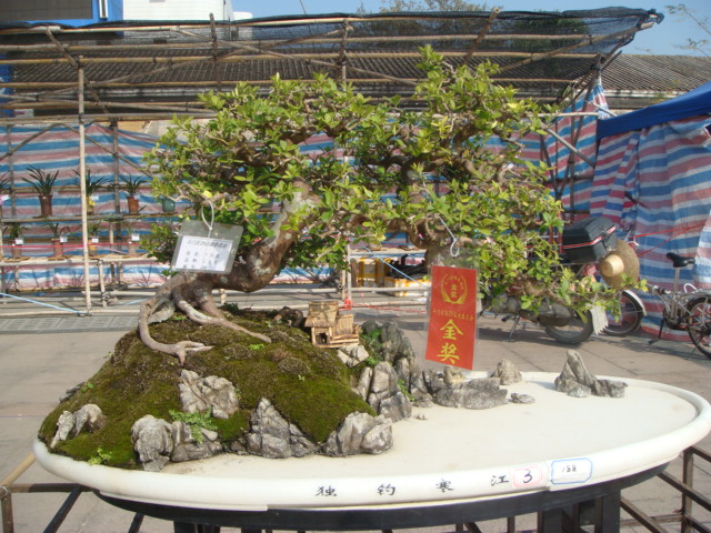 DSC01622.JPG