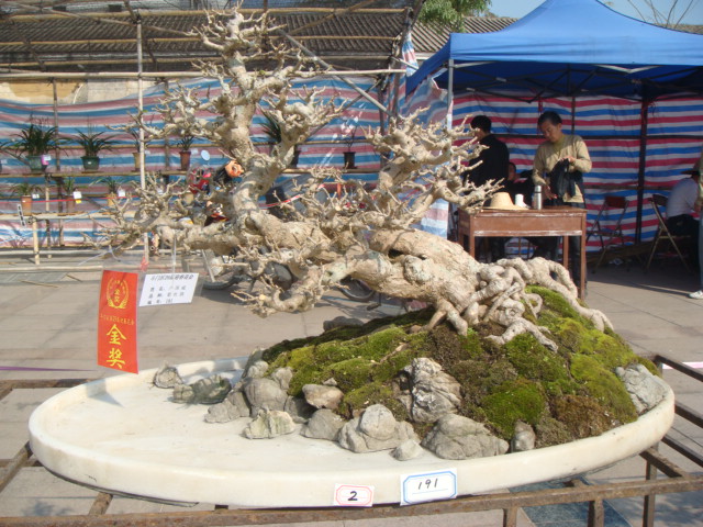 DSC01623.JPG