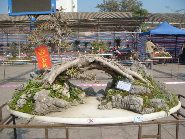 DSC01626.JPG
