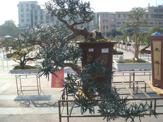 DSC01646.JPG