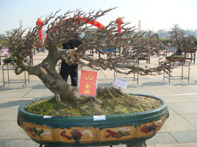 DSC01715.JPG