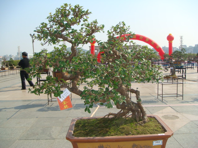 DSC01719.JPG