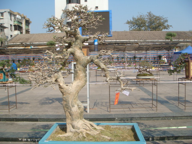 DSC01651.JPG