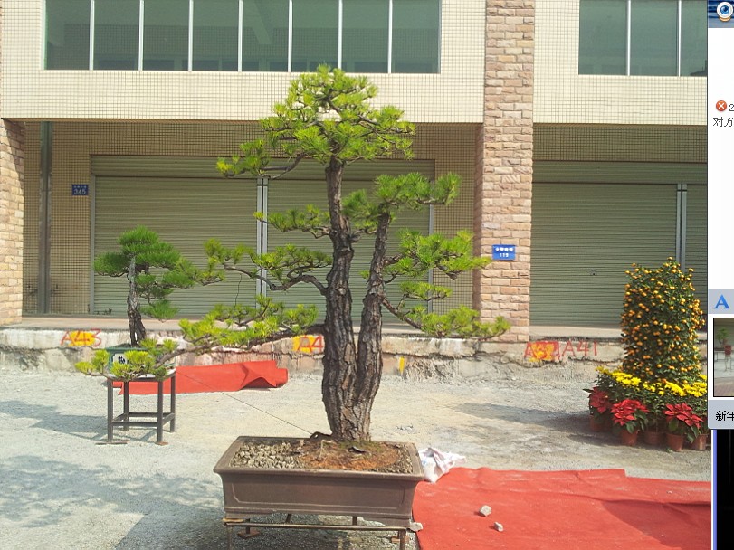 QQͼƬ20140130200446.jpg