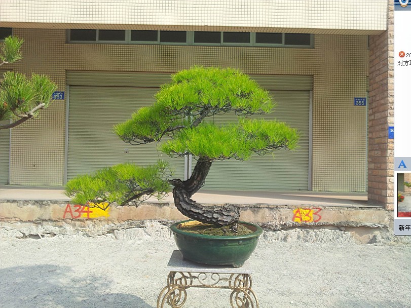 QQͼƬ20140130200523.jpg