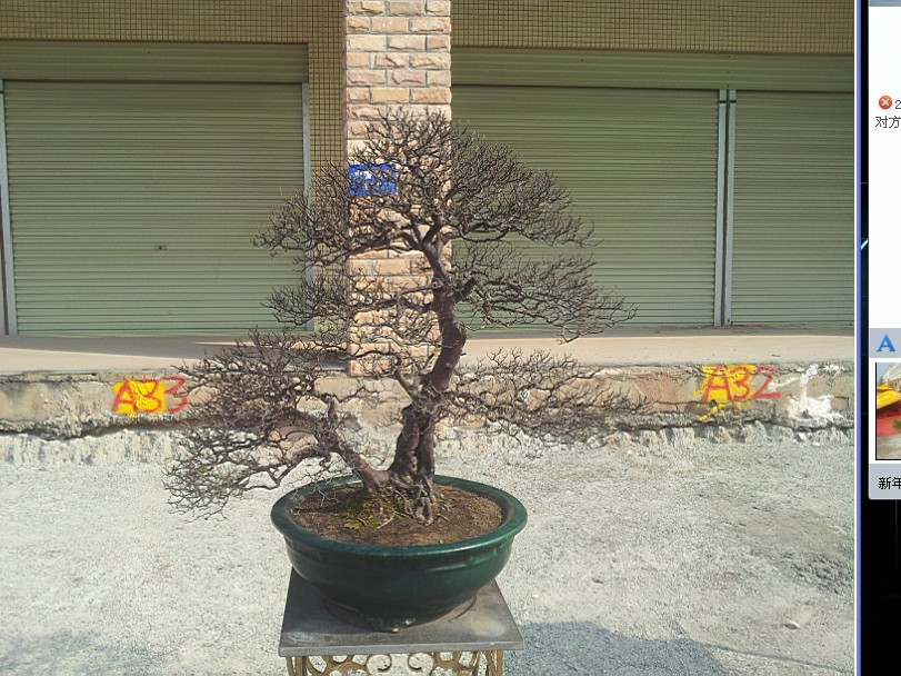 QQͼƬ20140130200553.jpg