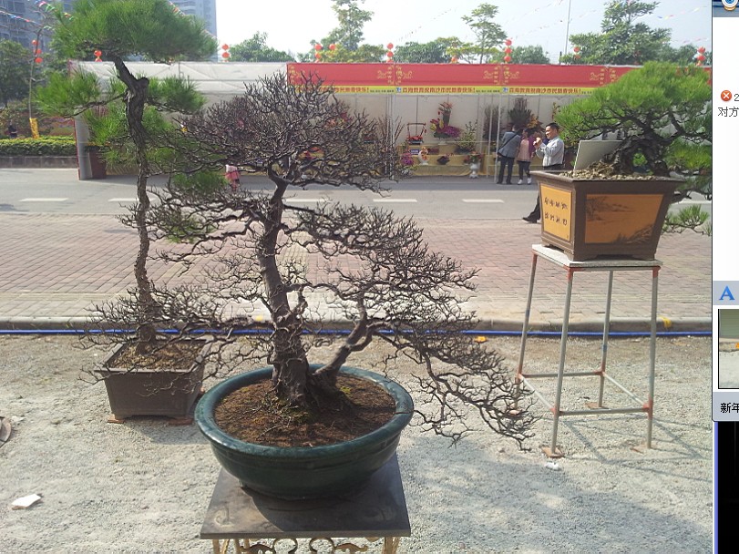 QQͼƬ20140130200613.jpg