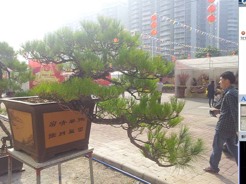QQͼƬ20140130200645.jpg