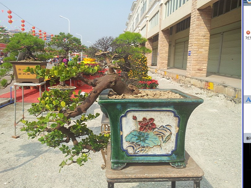 QQͼƬ20140130200726.jpg