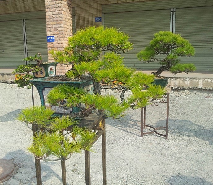 QQͼƬ20140130200835.jpg