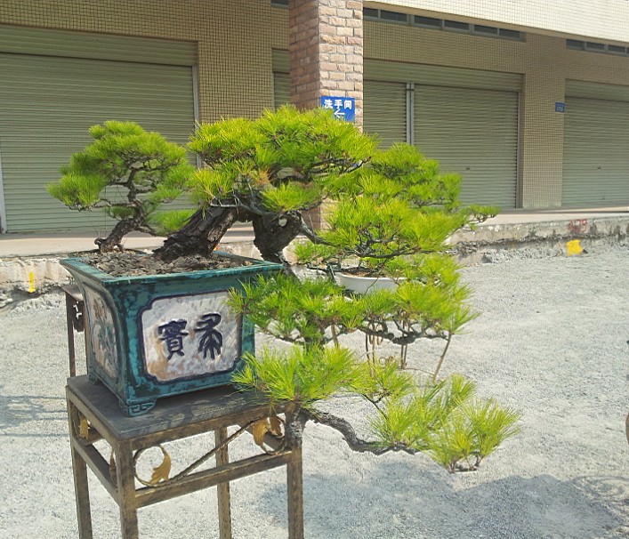 QQͼƬ20140130200919.jpg