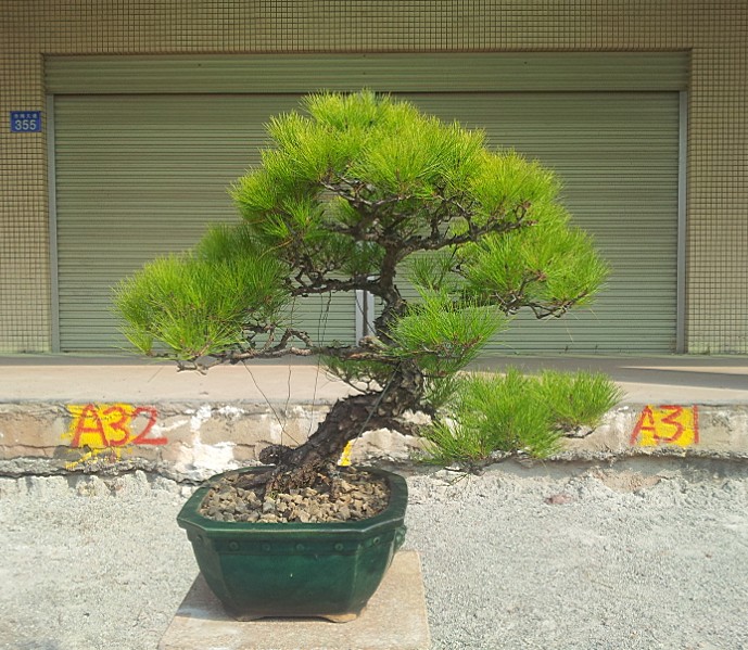 QQͼƬ20140130200934.jpg