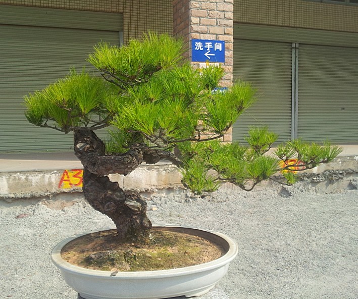 QQͼƬ20140130200958.jpg