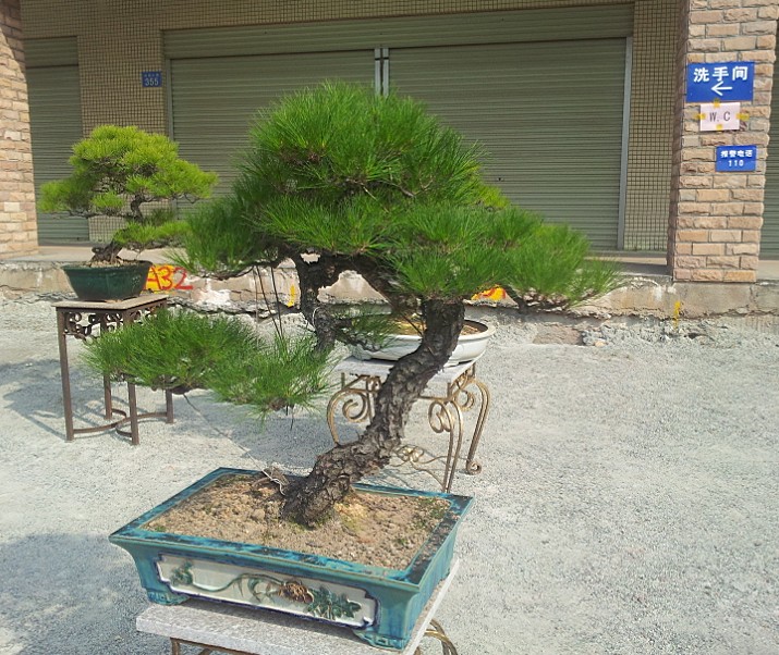 QQͼƬ20140130201014.jpg