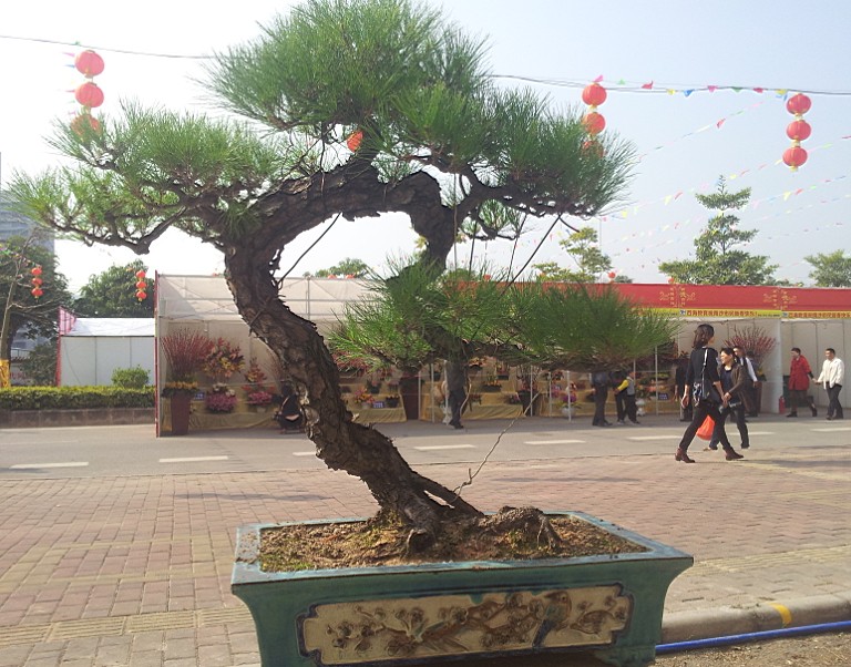 QQͼƬ20140130201050.jpg