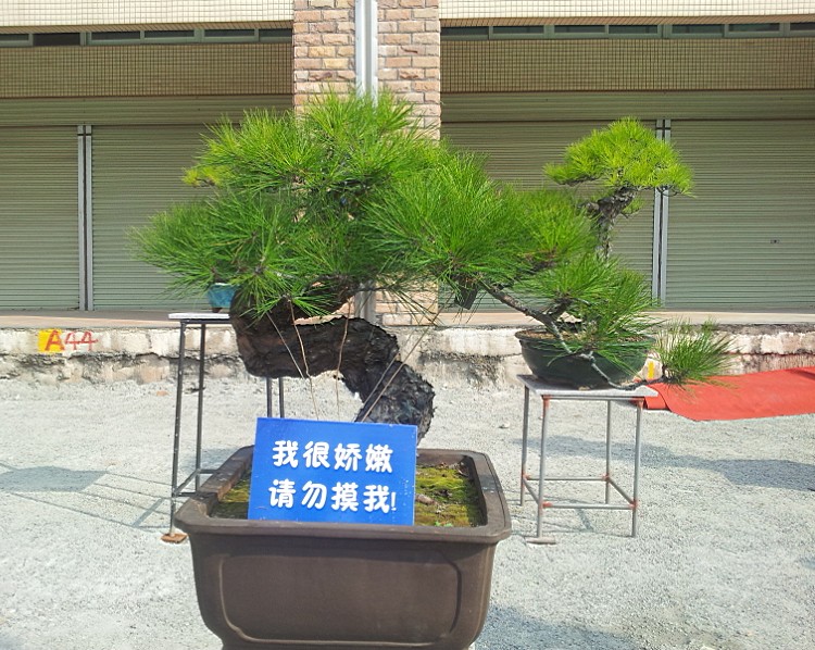 QQͼƬ20140130201132.jpg