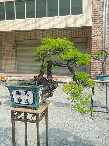 QQͼƬ20140130201143.jpg