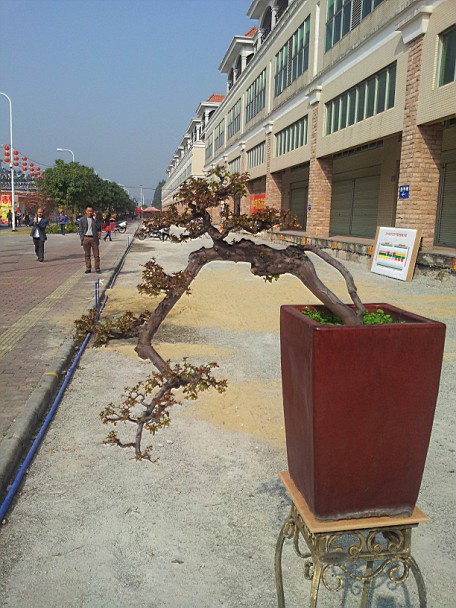 QQͼƬ20140130201152.jpg