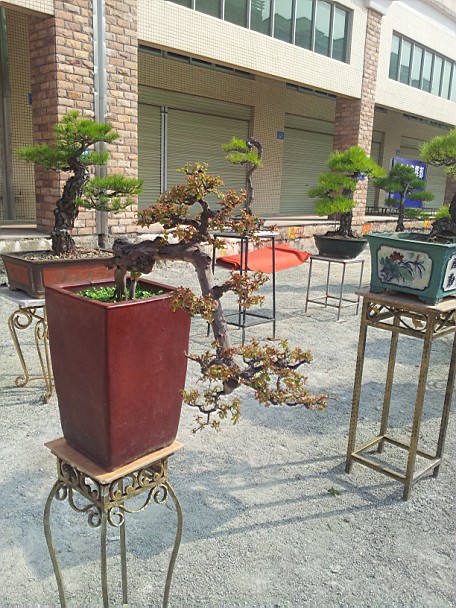 QQͼƬ20140130201159.jpg