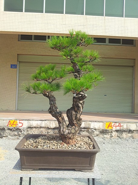 QQͼƬ20140130201205.jpg