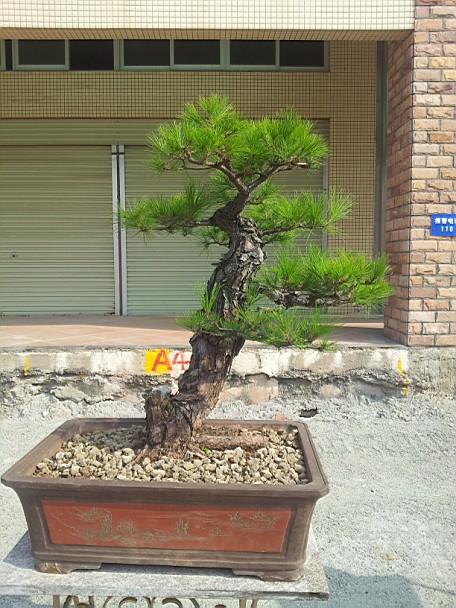 QQͼƬ20140130201211.jpg