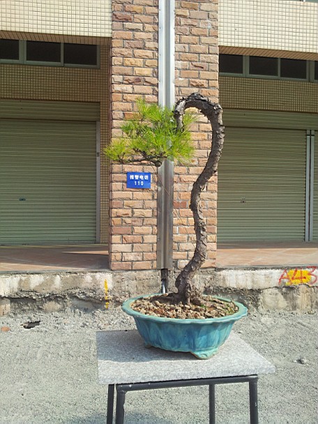 QQͼƬ20140130201219.jpg