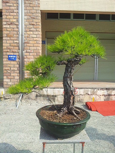 QQͼƬ20140130201225.jpg