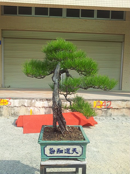 QQͼƬ20140130201231.jpg