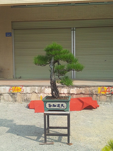 QQͼƬ20140130201238.jpg
