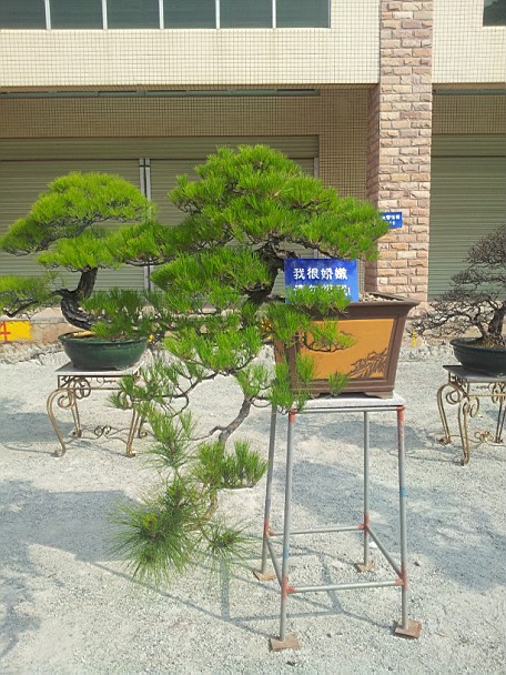 QQͼƬ20140130201244.jpg