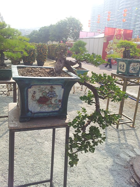 QQͼƬ20140130201449.jpg