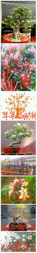 4555FA630C6DAE3D4A63E490D573AD97.jpg