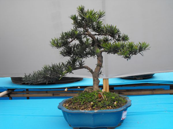 DSCF1063.JPG