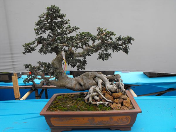 DSCF1069.JPG