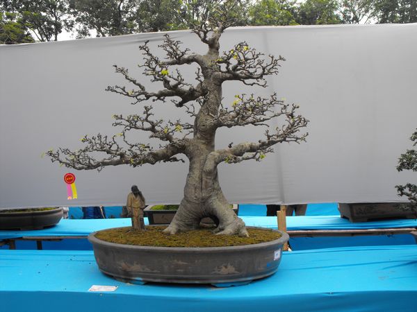 DSCF1070.JPG