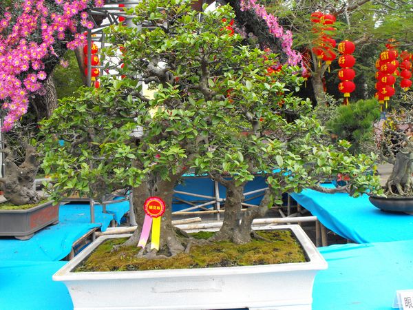 DSCF1073.JPG